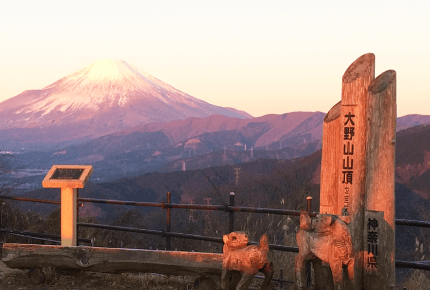 足柄平野の風景 大野山山頂