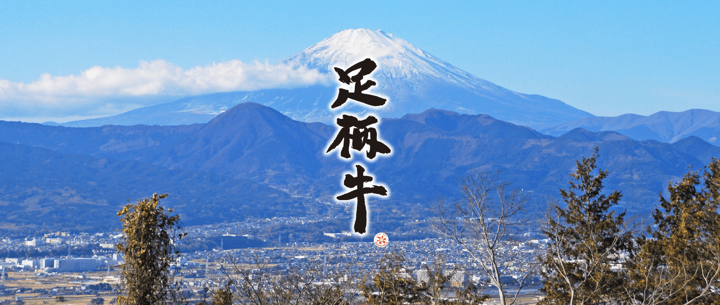 足柄牛を知る