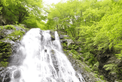 丹沢水系